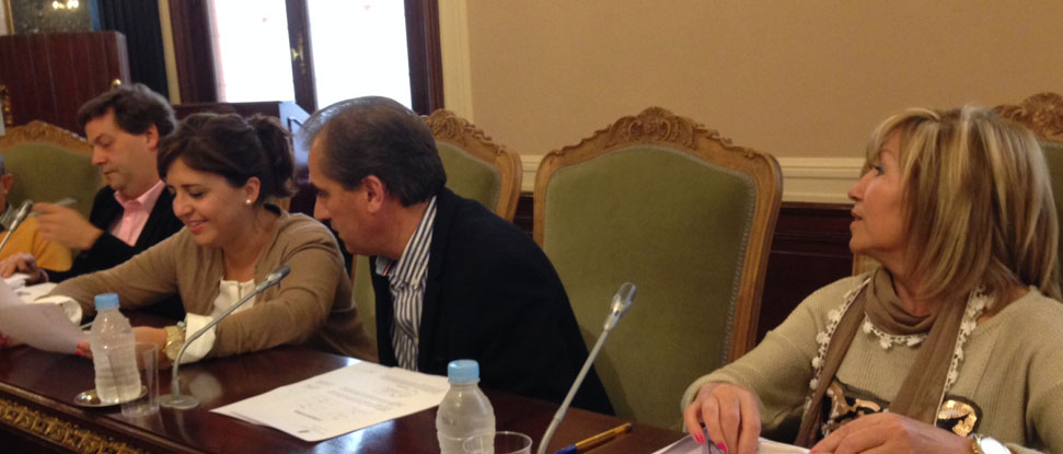 El PSOE convence a la Diputacin y logra un plan de empleo dotado de un milln de euros para 2014