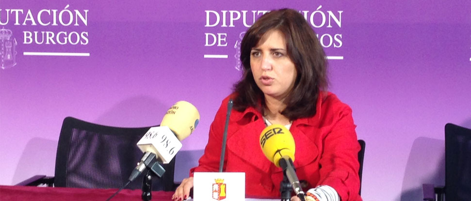 El Grupo Socialista volverá a pedir la disolución del IDJ como organismo autónomo