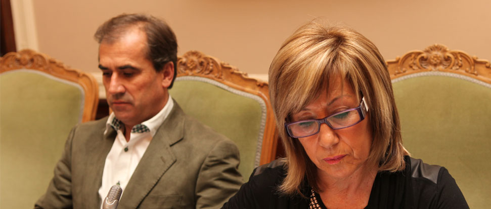 <div>El PSOE insta a la Diputación a urgir a la Junta el plan de protección para Clunia</div>