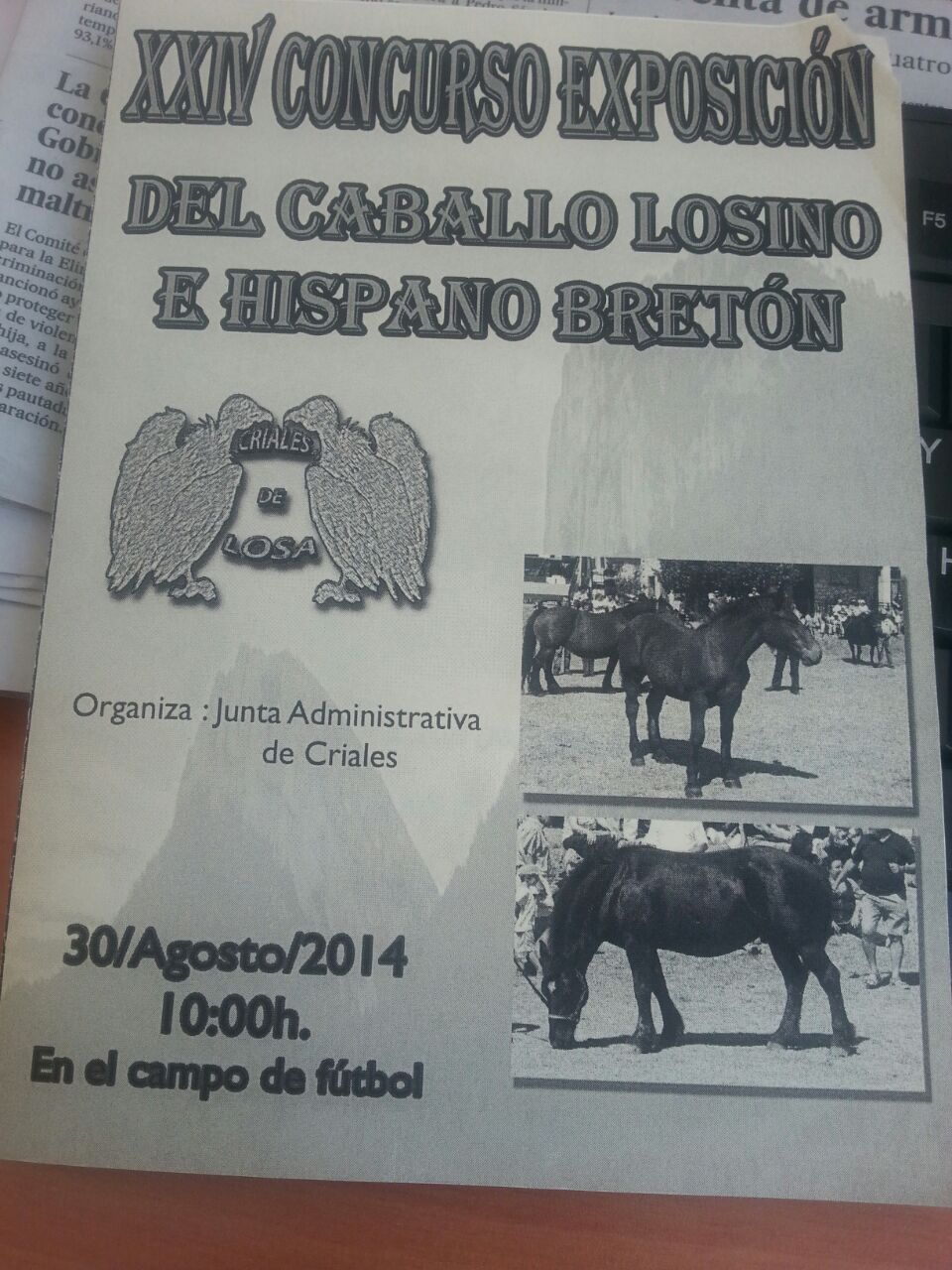 Criales de Losa acoge ma&ntilde;ana la XXIV Feria del Caballo Losino e Hispano Bret&oacute;n