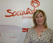 El PSOE urge a la Diputación y la Junta las medidas y el dinero que prometieron en 2019 para mejorar la cobertura de internet