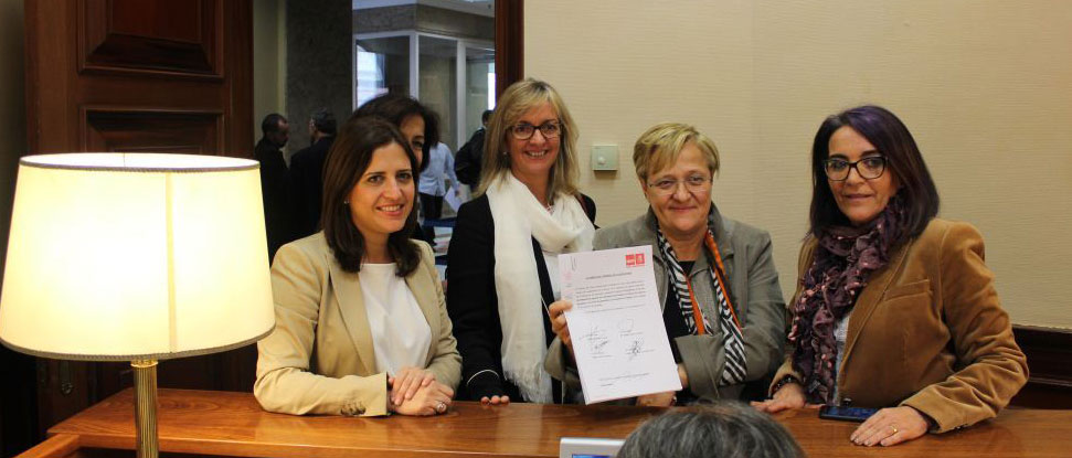 <div>El PSOE pide la creaci&oacute;n de una pensi&oacute;n no contributiva para los hu&eacute;rfanos v&iacute;ctimas de violencia de g&eacute;nero</div>