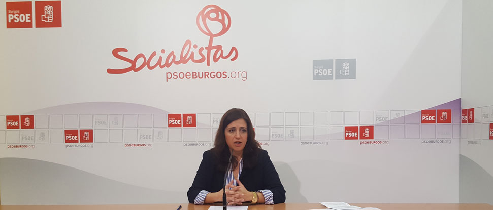 <div>Pe&ntilde;a exigir&aacute; en la Comisi&oacute;n de Fomento una respuesta clara sobre el futuro de la AP-1</div>