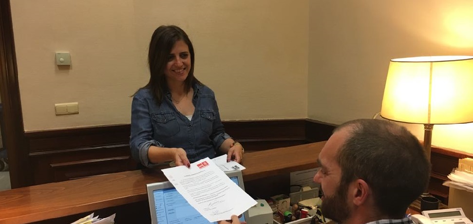 El PSOE exige a Fomento explicaciones acerca de sus &ldquo;planes reales&rdquo; sobre instalar la pasarela de la BU-11