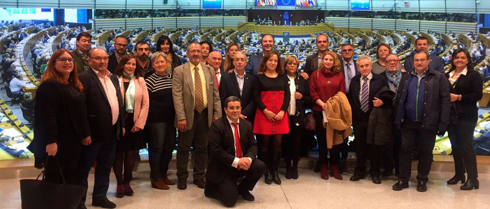 <div>La lucha contra la despoblaci&oacute;n que asola la provincia, presente en el Parlamento Europeo</div>