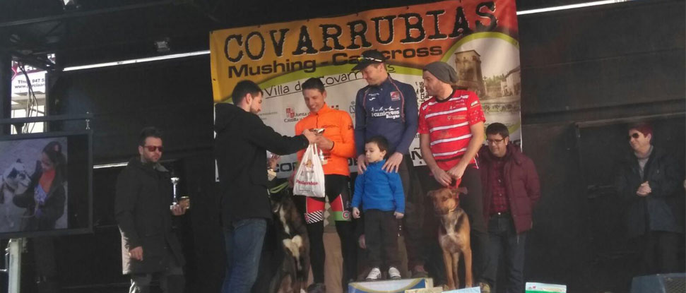El Canicross-Mushing de Covarrubias congrega a un centenar de participantes