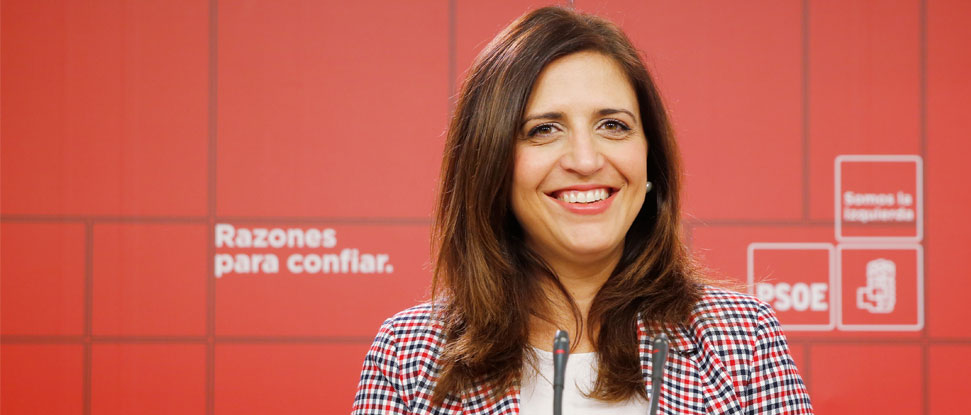 <p><span>El PSOE pide la comparecencia de la consejera Del Olmo en las Cortes de Castilla y Le&oacute;n ante el nuevo retraso del Tecnol&oacute;gico<strong></strong></span></p>