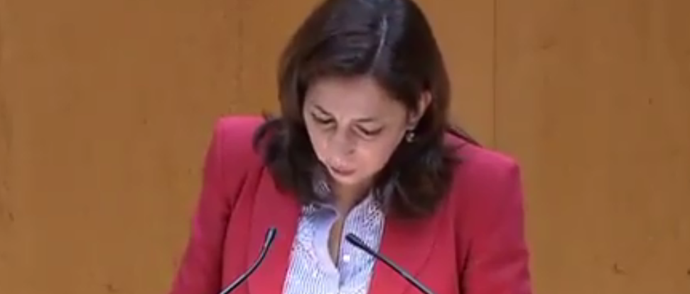 Arnaiz se queja en el Senado de la falta de asistencia presencial sanitaria en Castilla y Le&oacute;n durante la pandemia