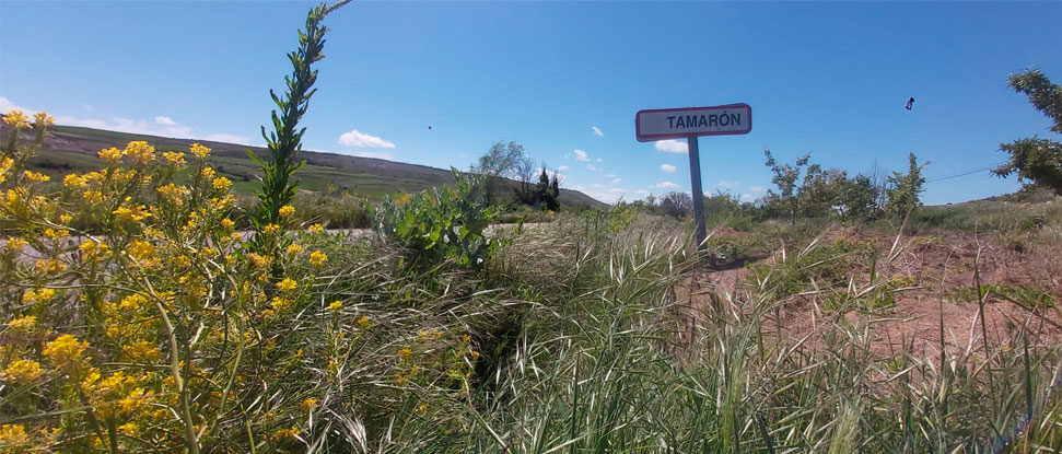 Lezcano denuncia el desinterés de la Diputación por la seguridad en su red de carreteras