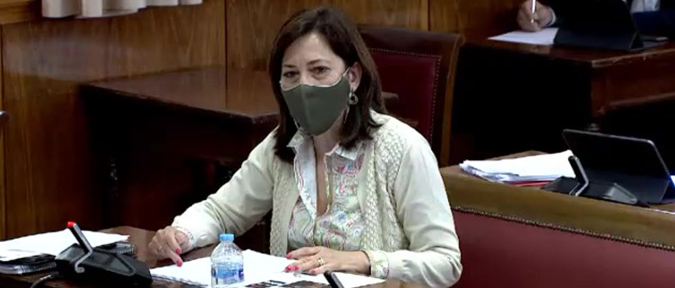 El grupo parlamentario socialista expresa su compromiso firme con la A-73 en el Senado&nbsp;