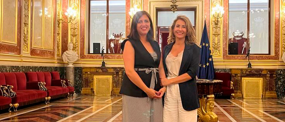 El Gobierno escucha al PSOE de Burgos y anuncia bonos con descuentos del 50 % para viajeros recurrentes en el AVE a Madrid