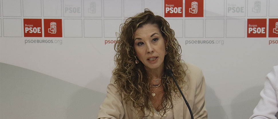 El PSOE presenta una PNL para exigir a la Junta la rehabilitaci&oacute;n de las carreteras BU-701, BU-703 y BU-710