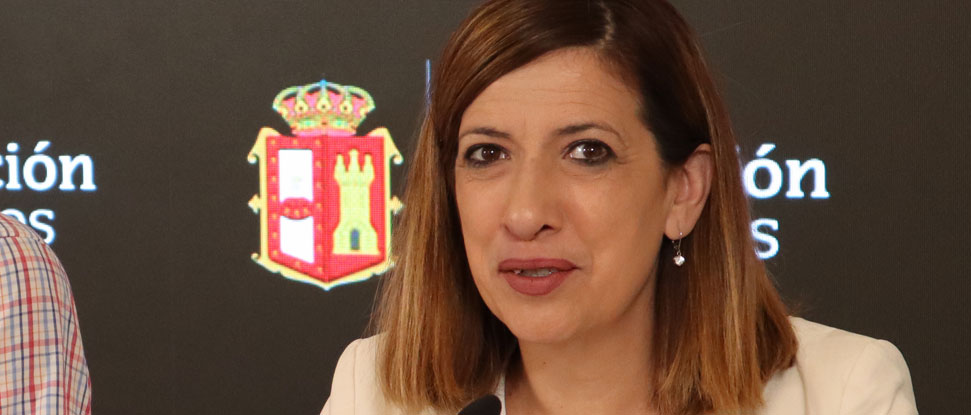 Barrio pide a la Diputación más implicación e información en la lucha contra la avispa asiática Barrio pide a la Diputación más implicación e información en la lucha contra la avispa asiática