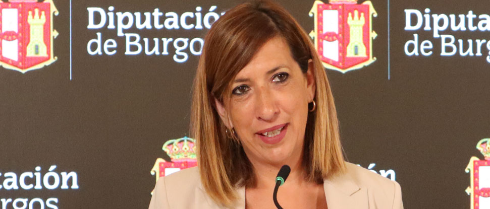 El primer año de mandato de Borja Suárez al frente de la Diputación, decepcionante El primer año de mandato de Borja Suárez al frente de la Diputación, decepcionante