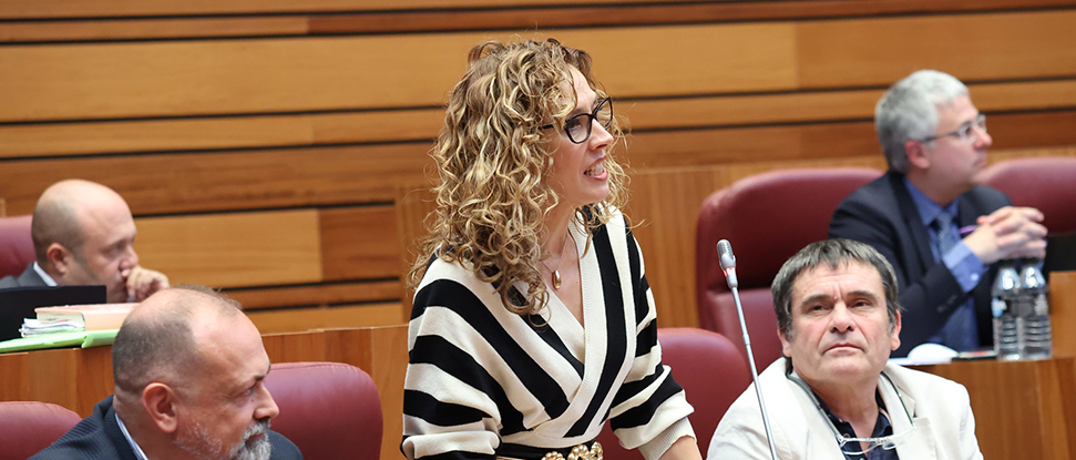 El PSOE pide a la Junta ayudas extraordinarias para los agricultores y ganaderos víctimas de vandalismos en la provincia de Burgos