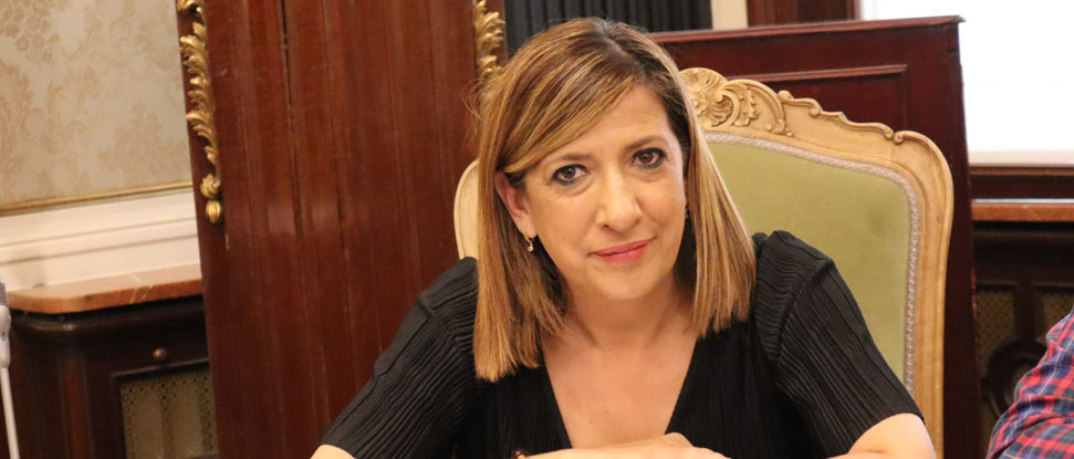 La Diputación aprueba la proposición del PSOE para instar a la Junta a ordenar y limitar la instalación de parques fotovoltaicos en zonas agrícolas y de especial protección La Diputación aprueba la proposición del PSOE para instar a la Junta a ordenar y limitar la instalación de parques fotovoltaicos en zonas agrícolas y de especial protección